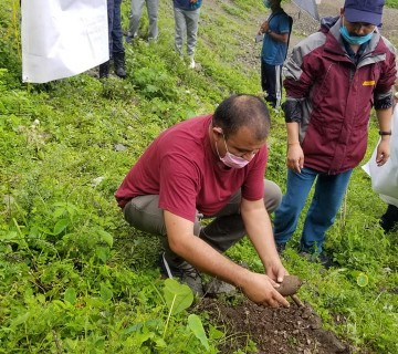 सांसद नेतृत्वमा वृक्षा रोपन दिवश